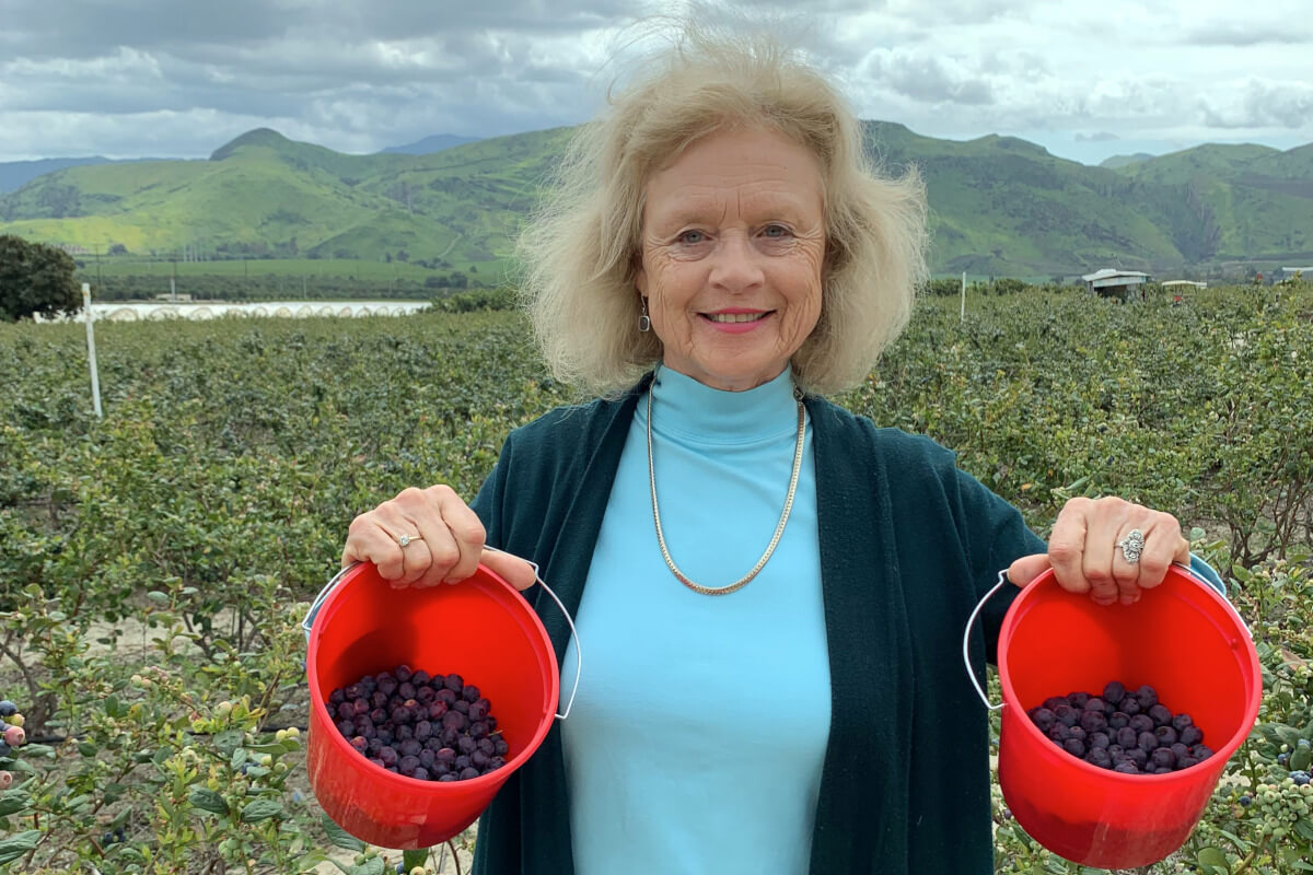 Blueberry picker holding two red buckets of blueberries