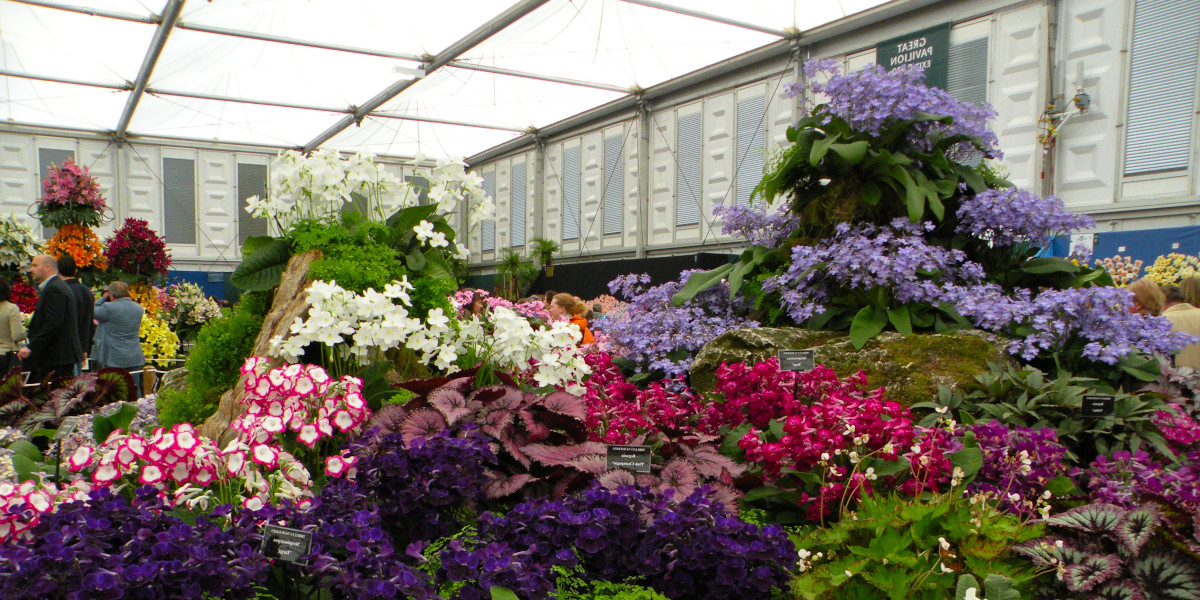 A Stroll through the Chelsea Flower Show