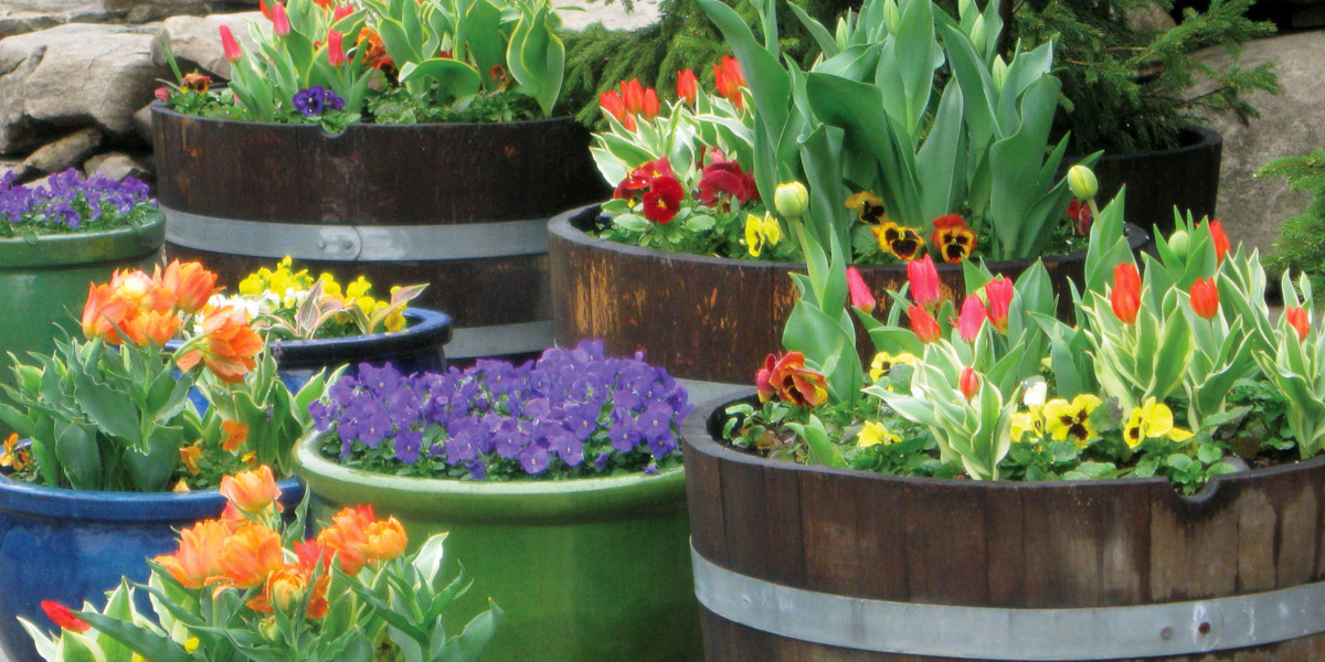Crafting The Container Garden