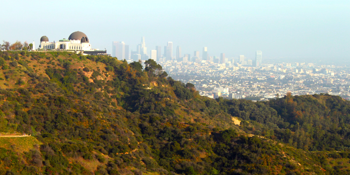 Stewarding Griffith Park: Seed Conservation in a Biodiversity Hotspot