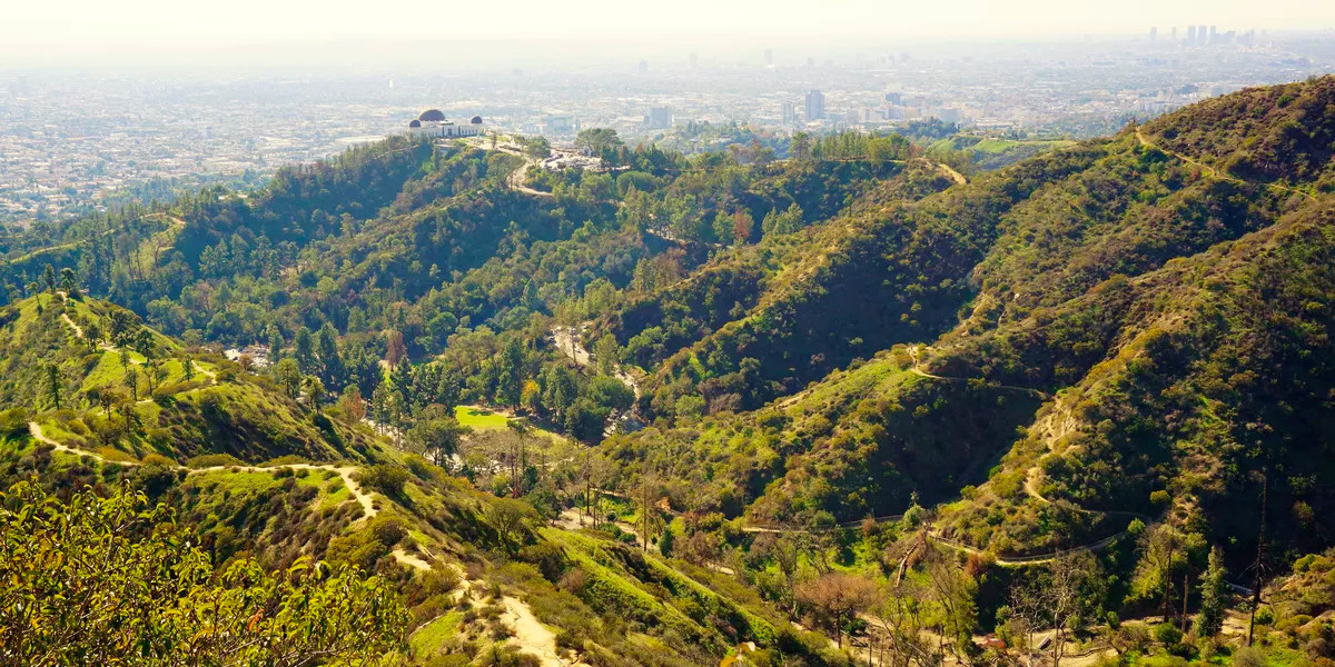 Wild Flora and Fauna of Griffith Park
