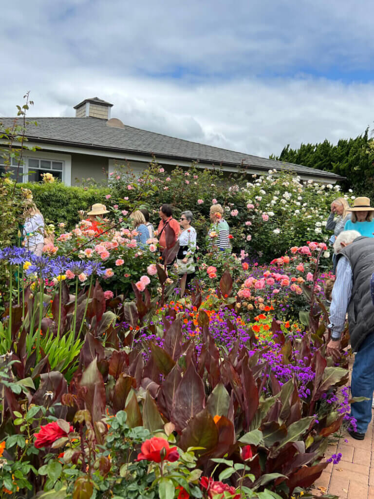 Garden club members touring the rose garden