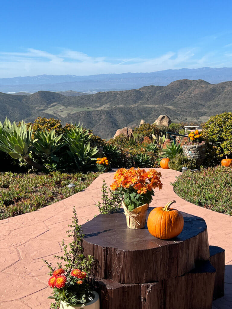 Fall mum and pumpkin on a painted stump overlooking the mountainside