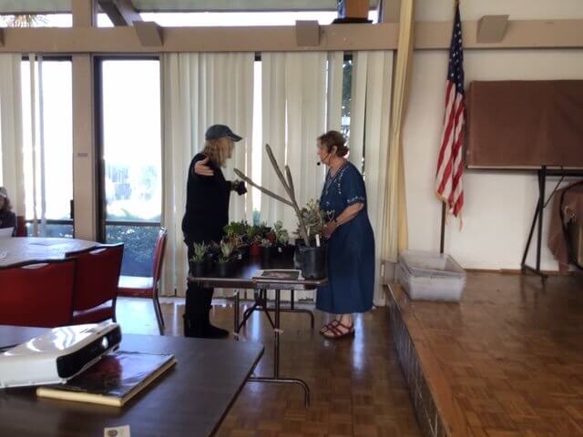 Yvonne arranging some plants