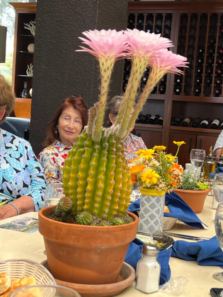 Colorful cactus with Vivian Baer