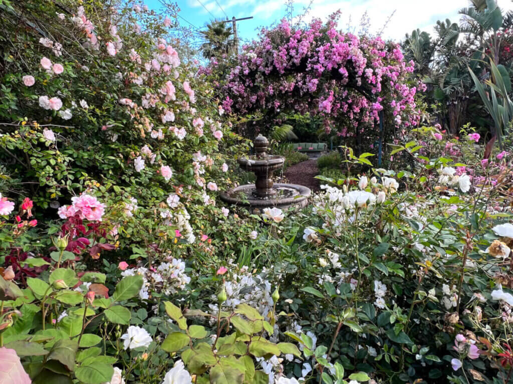A fountain in the midst of flowering bushes and trees