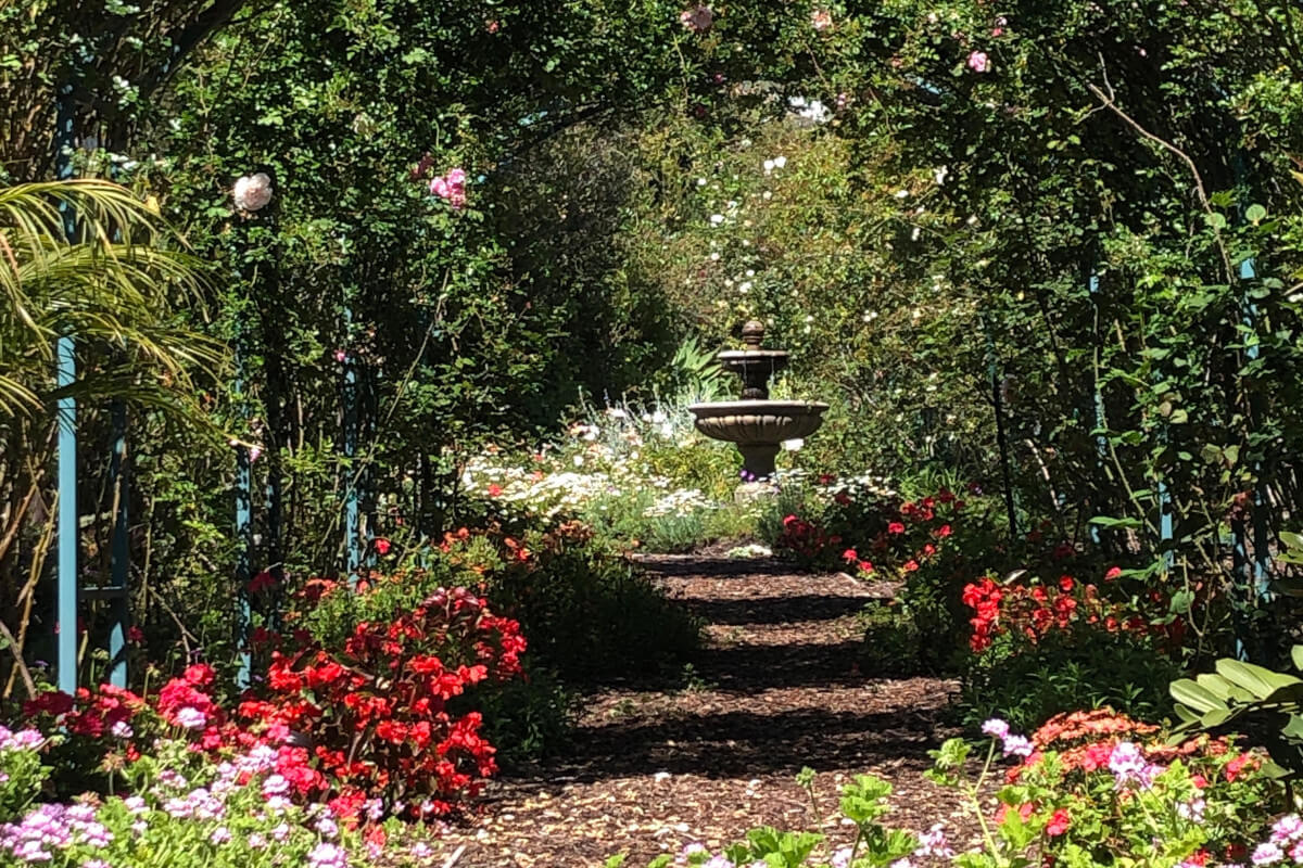 Rose Garden