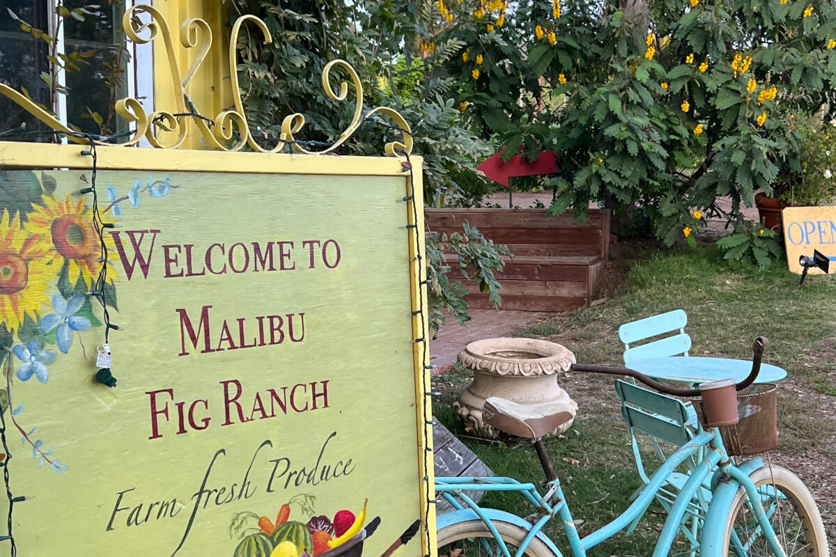 A sign welcomes folks to the Malibu Fig Ranch, with an adjacent blue bicycle and a flowering buch in the background