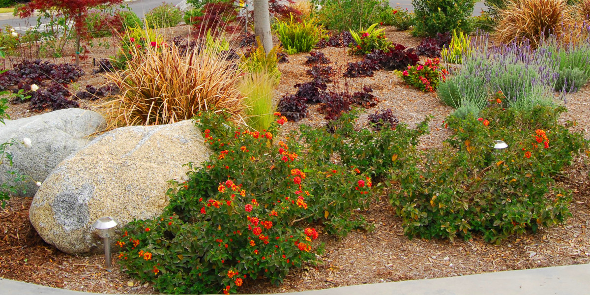 Sustainable Landscaping for Dummies, A Visionary Look at the Future of Gardens