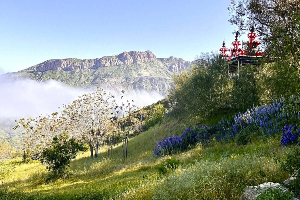 Guided Tour of XANABU