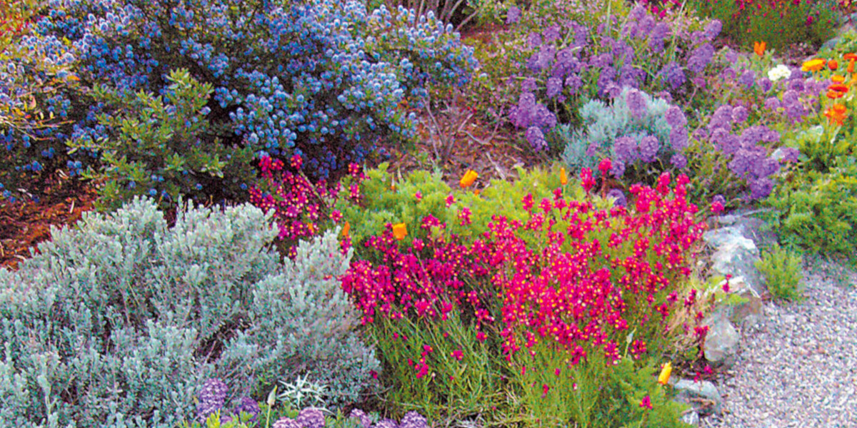 Garden Tour and Luncheon at Joan Murray’s house