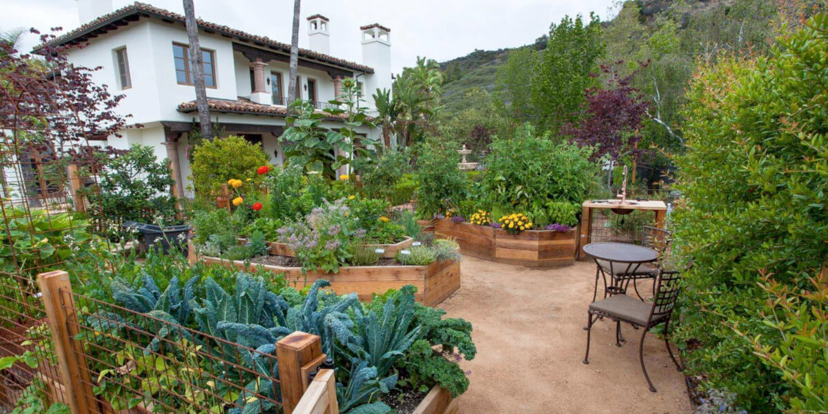 Pretty and Green, how to create a low water use garden