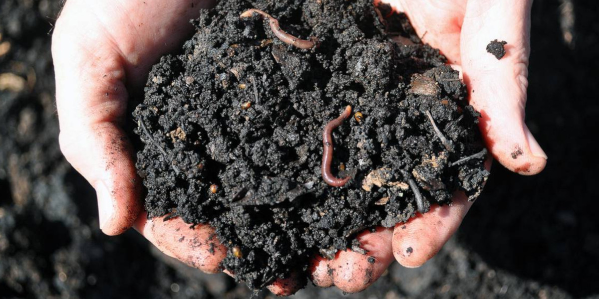 How to Compost and Create a Living Soil