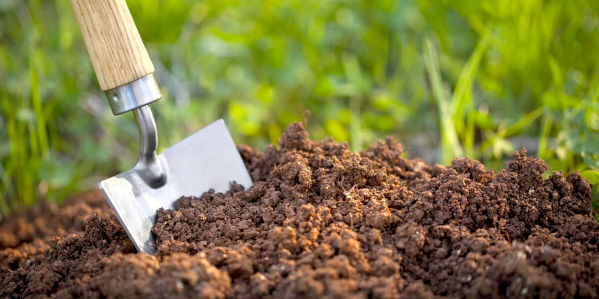 Shovel in soil